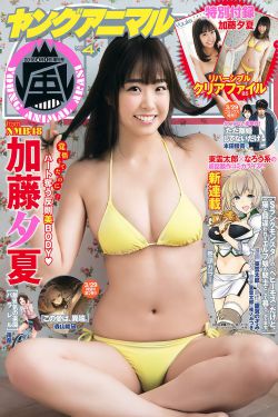 康熙微服记5张国立